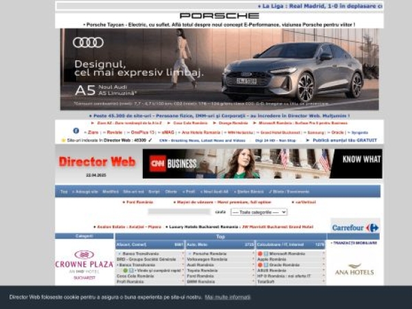 director-web.ro