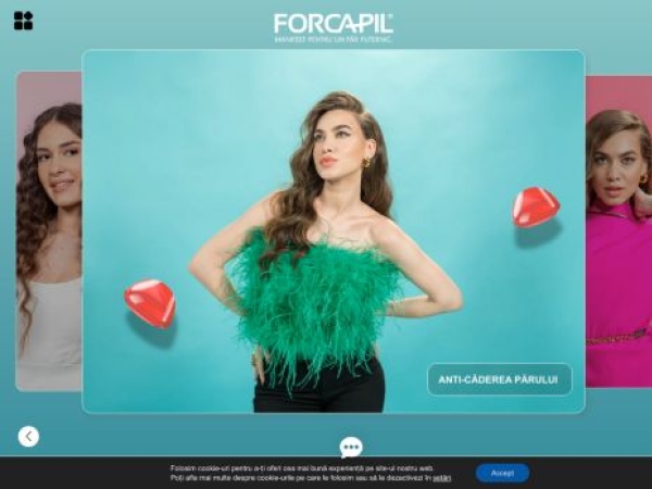 forcapilromania.ro