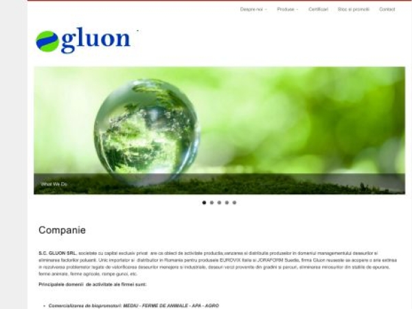 gluon.ro