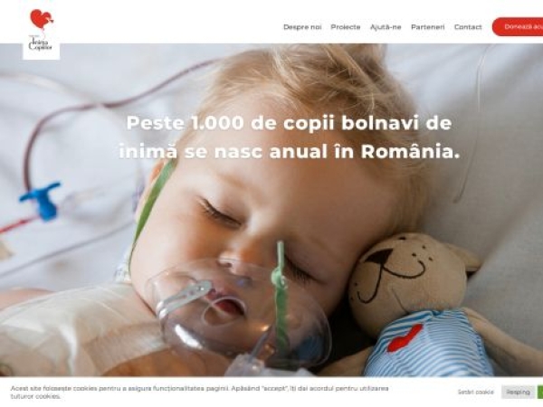 inimacopiilor.ro