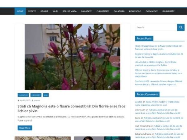revistavedetelor.ro
