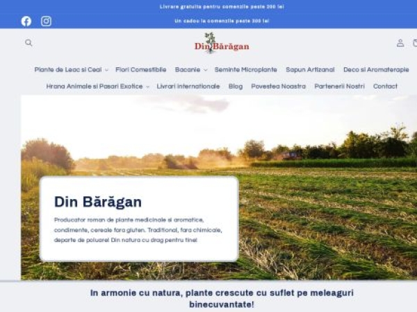 dinbaragan.ro