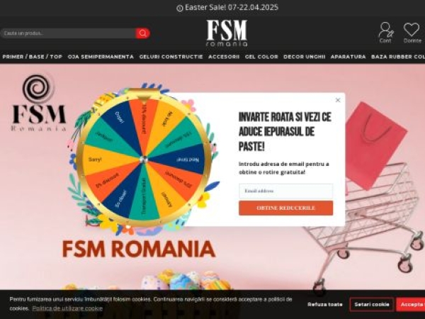 fsm-romania.ro