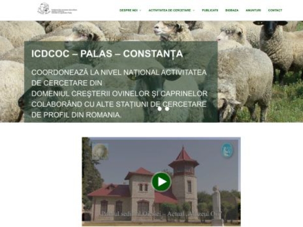 icdcocpalas.ro