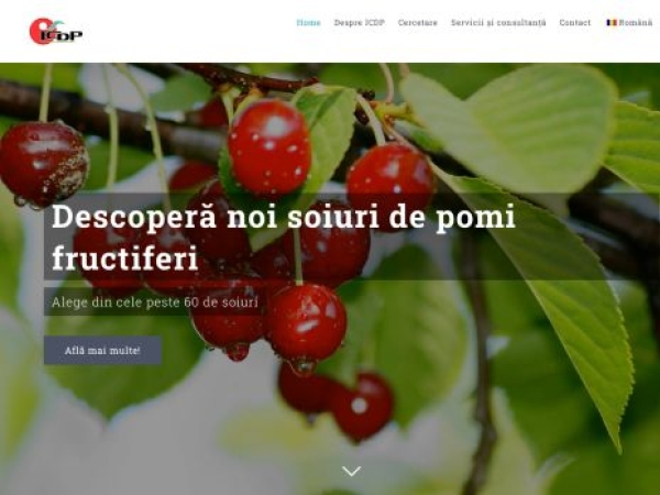 icdp.ro