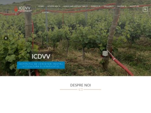 icdvv.ro