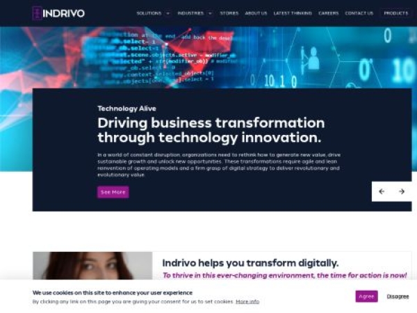 indrivo.com