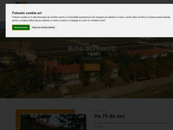 scdcbarad.ro