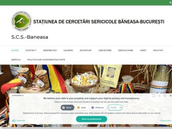 scsbaneasa.ro